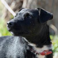 post-8190-0-68615800-1375727188_thumb.jp