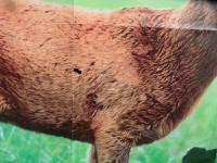 post-9336-0-31606400-1376389264_thumb.jp