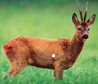 post-9792-0-55504900-1376813865_thumb.jp