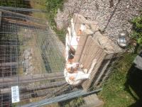 post-1171-0-91036900-1409503974_thumb.jp