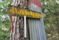 post-12637-0-12266000-1408979849_thumb.j