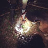 post-14370-0-18577400-1406918506_thumb.j