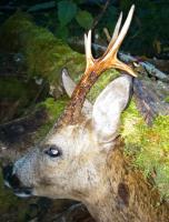 post-3128-0-33944500-1408162568_thumb.jp