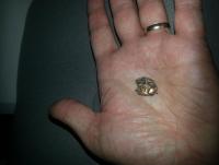 post-5772-0-23529300-1408789531_thumb.jp