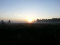 post-5772-0-28807000-1408551445_thumb.jp