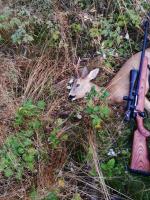 post-5772-0-29976500-1408214988_thumb.jp