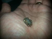 post-5772-0-94335700-1408789552_thumb.jp