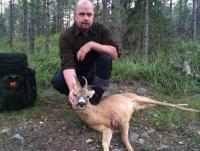 post-1121-0-52607600-1439874961_thumb.jp