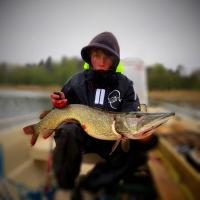 post-11709-0-40617800-1439505624_thumb.j