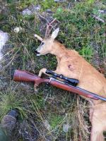 post-3364-0-81525900-1439905712_thumb.jp