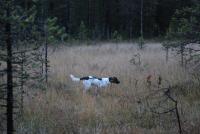 post-7649-0-41646600-1316113275_thumb.jp