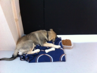 post-9636-0-54685700-1315394626_thumb.pn