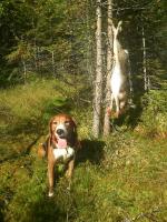 post-10656-0-49632700-1348867676_thumb.j