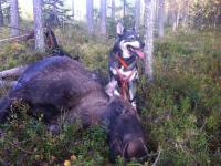 post-2262-0-11661900-1348515738_thumb.jp