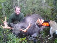 post-6209-0-31241000-1347040013_thumb.jp