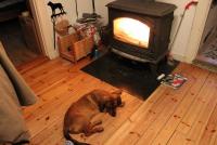 post-11331-0-04542800-1380396571_thumb.j