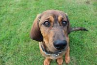 post-11331-0-06588600-1380396754_thumb.j