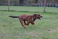 post-11331-0-32478800-1380396649_thumb.j