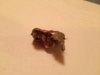 post-11331-0-76558900-1380477128_thumb.j