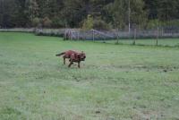 post-11331-0-97797400-1380396593_thumb.j