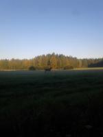 post-12076-0-82658600-1379836955_thumb.j