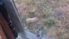post-2256-13798751104081_thumb.jpg