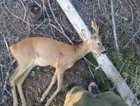 post-5306-0-17148400-1378585647_thumb.jp