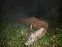 post-5306-0-89630100-1379359061_thumb.jp