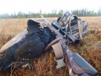 post-9376-0-95388900-1380568075_thumb.jp