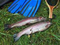 post-15497-0-34379500-1441389557_thumb.j