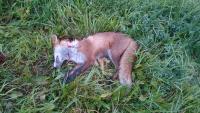 post-16887-0-95227500-1442473956_thumb.j