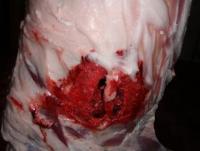 post-348-1224169437_thumb.jpg
