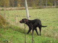 post-2413-0-94013100-1318588745_thumb.jp