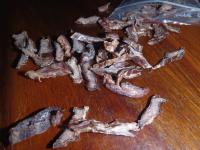 post-3526-0-39556800-1317639981_thumb.jp