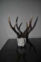 post-4759-0-03878500-1317834672_thumb.jp