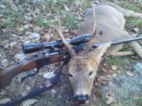 post-4850-0-27743700-1318870571_thumb.jp