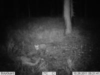 post-5712-0-27387900-1320093658_thumb.jp