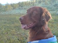 post-6039-0-18505500-1318659908_thumb.jp