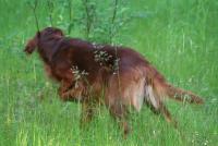 post-6039-0-83154700-1318657920_thumb.jp