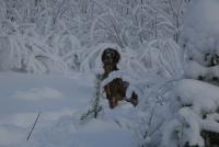 post-6039-0-95016600-1318660054_thumb.jp