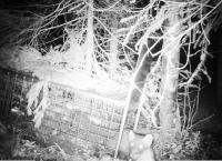 post-12501-0-64035600-1351279324_thumb.j