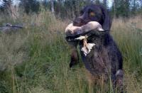 post-12870-0-92676900-1349515198_thumb.j