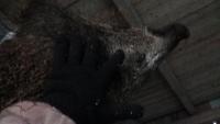 post-10838-0-38770500-1380733176_thumb.j