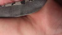 post-11919-0-08369700-1381251604_thumb.j