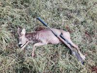 post-14501-0-96469800-1382599478_thumb.j