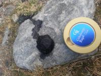 post-3905-0-47448100-1380902063_thumb.jp