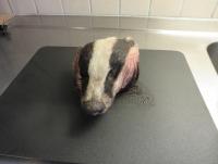 post-10839-0-12195800-1414265731_thumb.j