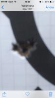post-226-14145128542224_thumb.jpg