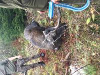 post-15497-0-30170200-1444824799_thumb.j