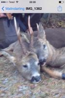 post-17073-0-05070000-1445961312_thumb.j